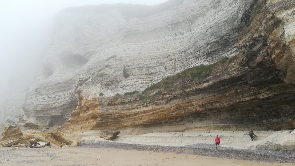 the beach of the lime tree under the fog