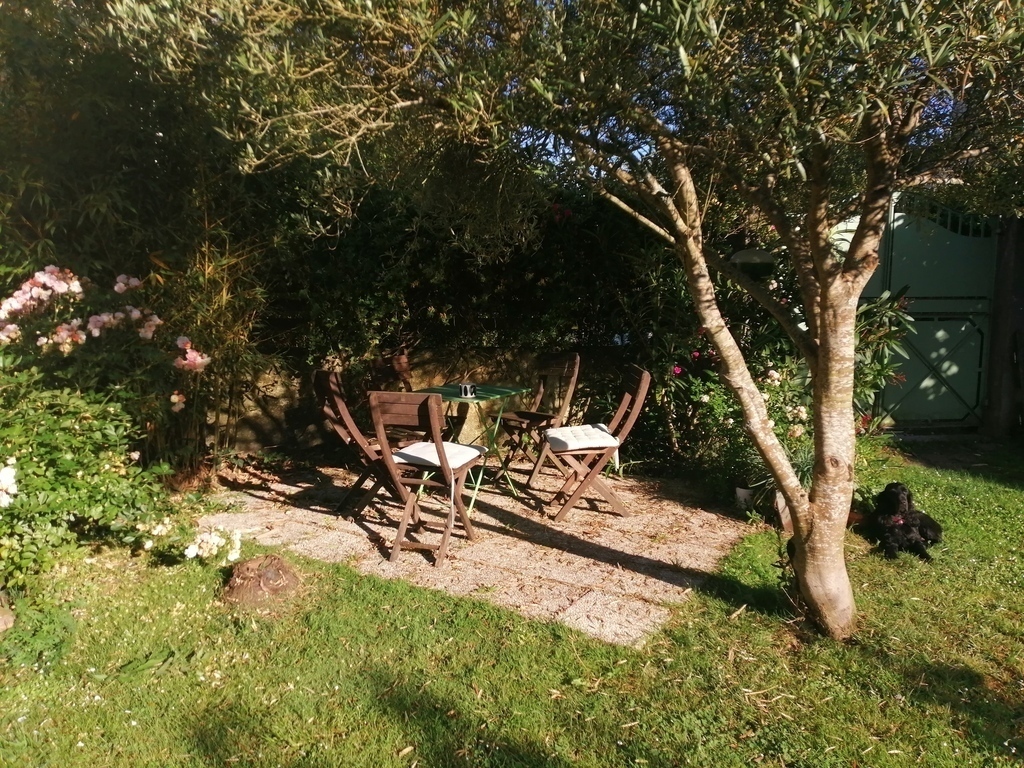 petite terrasse sous l'olivier
