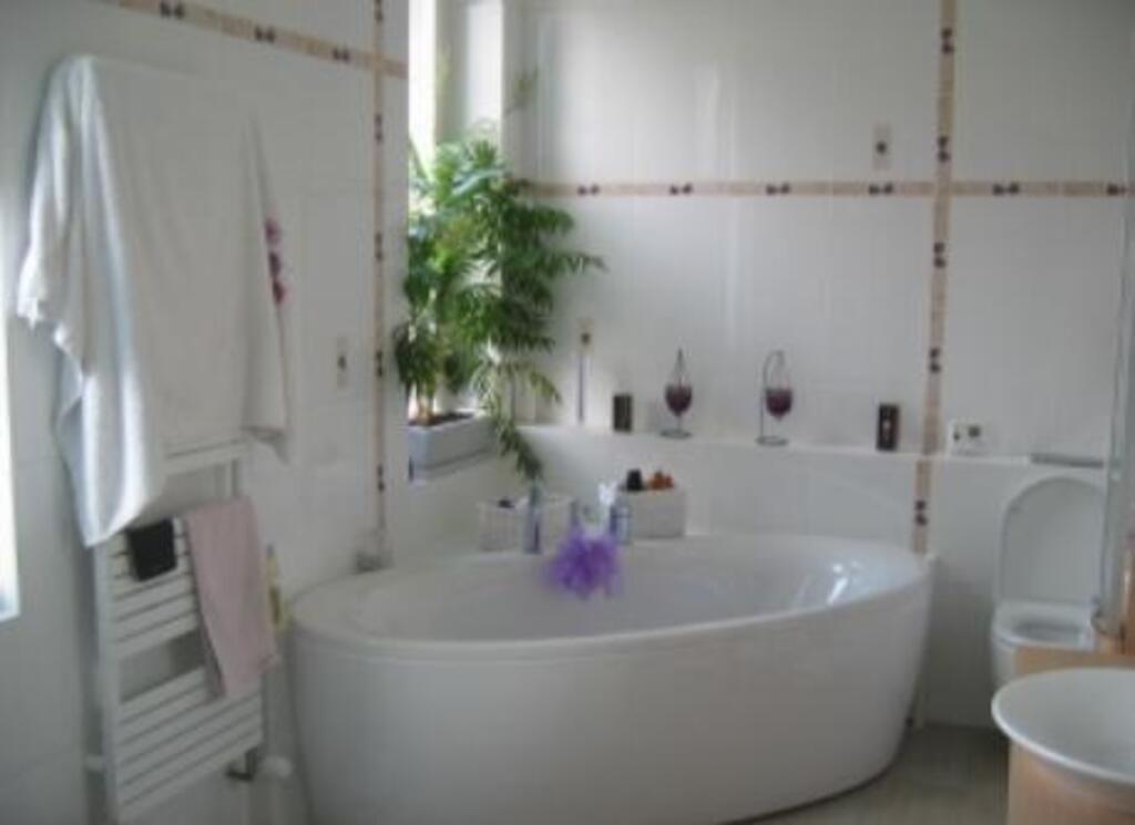 ladies' bathroom 1 st fl  ( bath &shower)