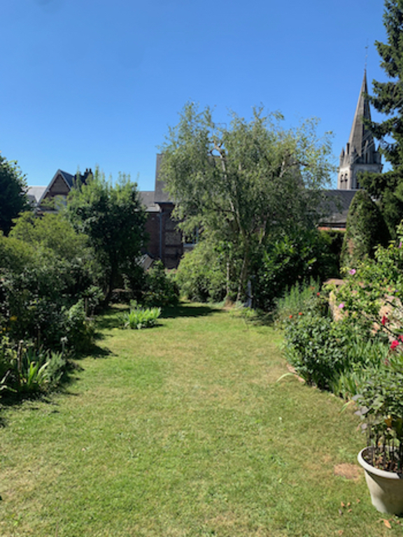 garden in summer time 