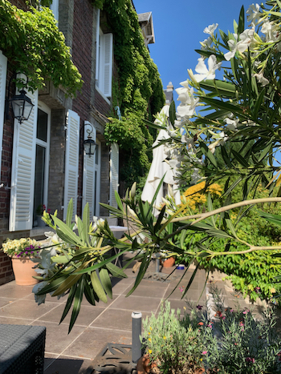 terrace for lunchtime