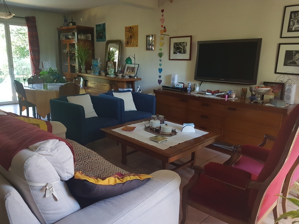 The living room and the television.