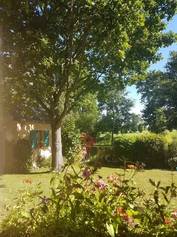 A view of the garden from the kitchen window.