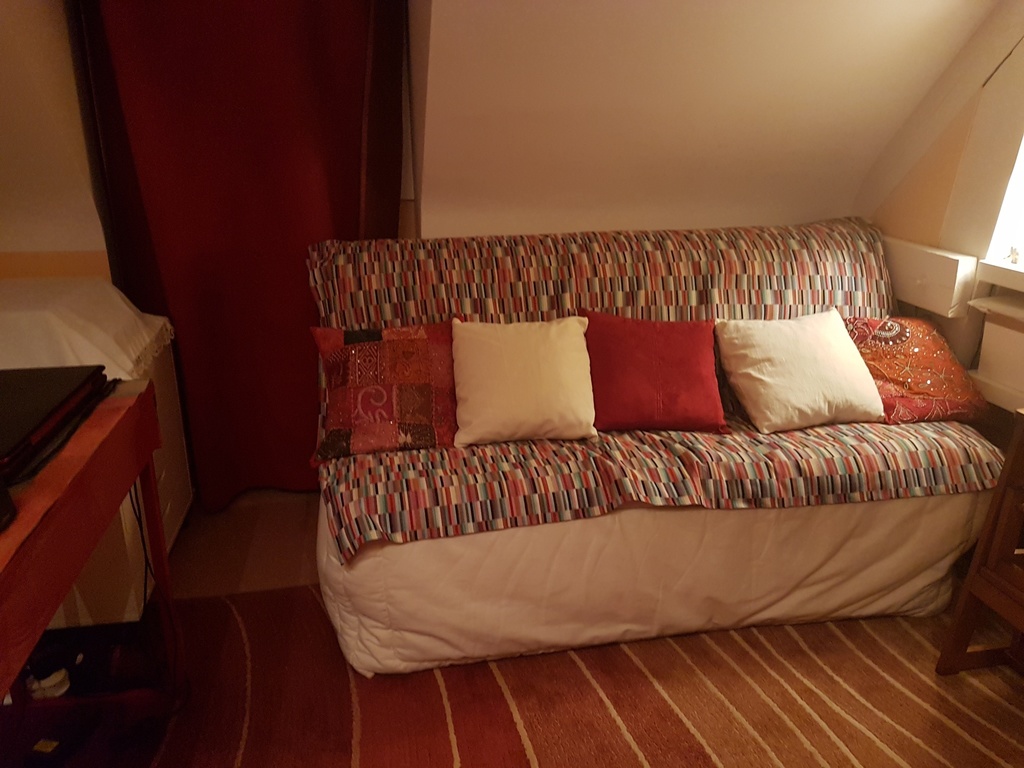 The guest convertible sofa in the library.