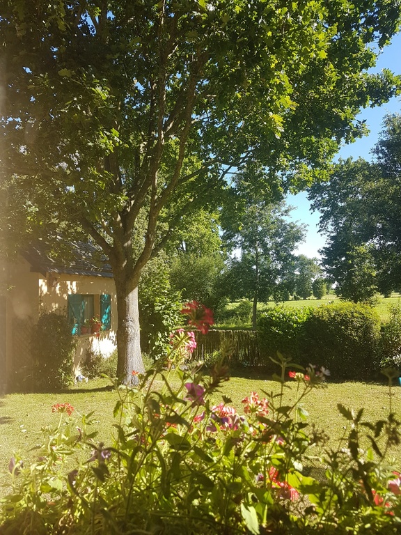 A view of the garden from the kitchen window.