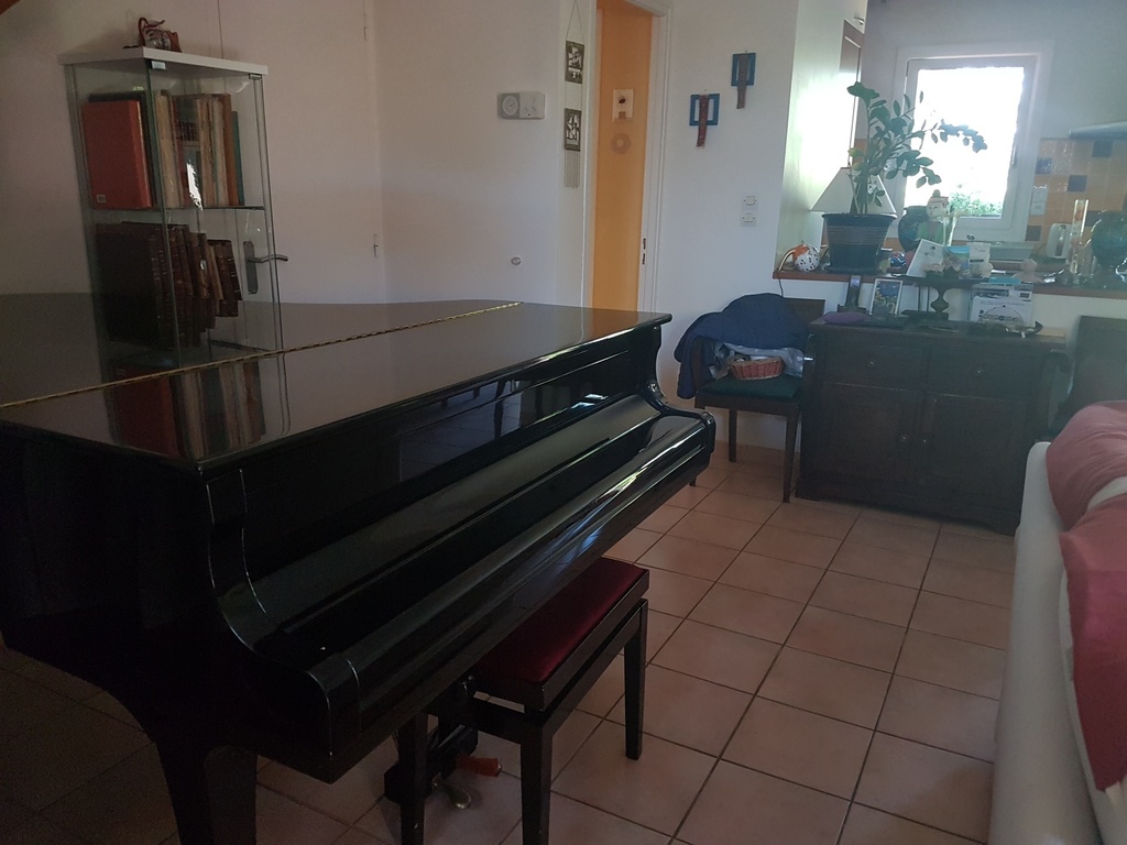 The grand piano in the living room.