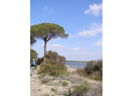 Near la Grande Motte