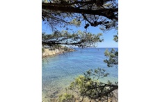 View during lunch and dinner