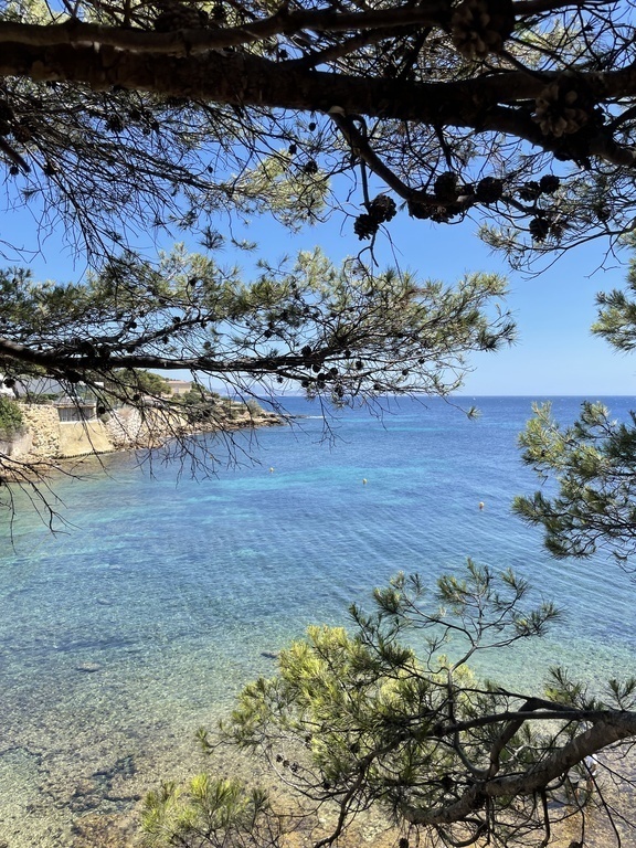 View during lunch and dinner