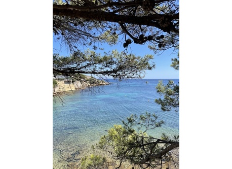 View during lunch and dinner