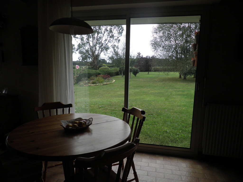 View from the kitchen