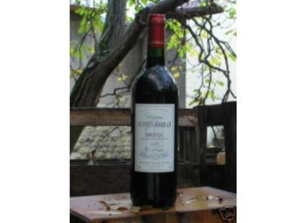 Wine tasting in many castles