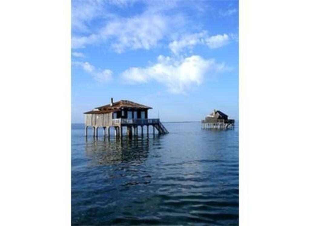 houses ont the bassin d'Arcachon