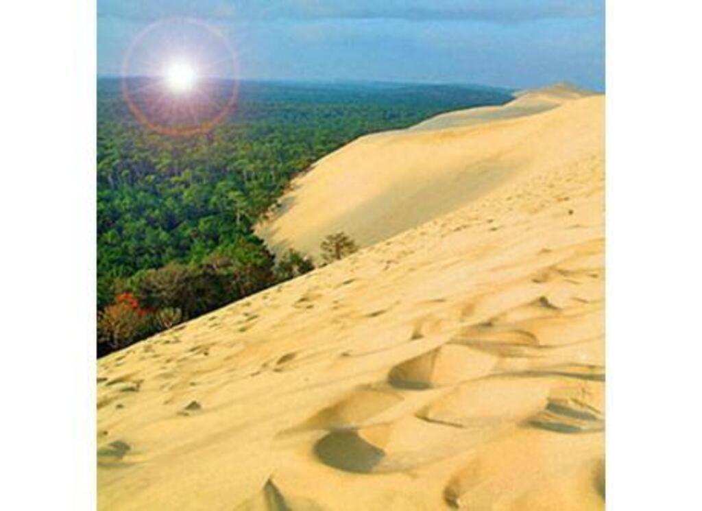 Pila's Dune