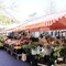 Nice - Cours Saleya - Marché aux fleurs/Flower market