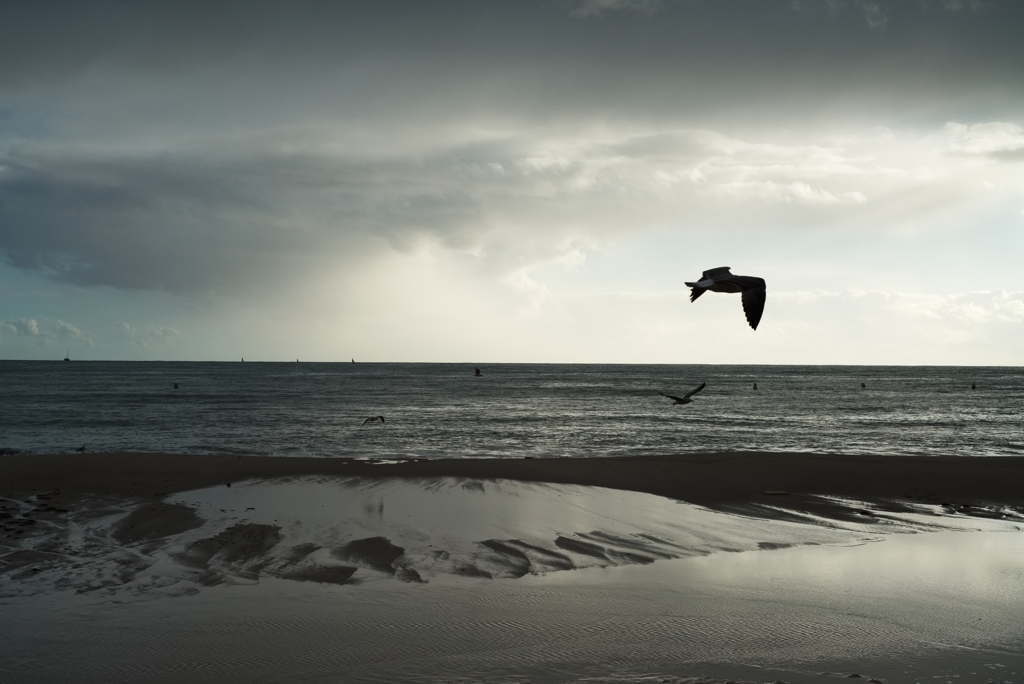 Cannes - Plage du Midi