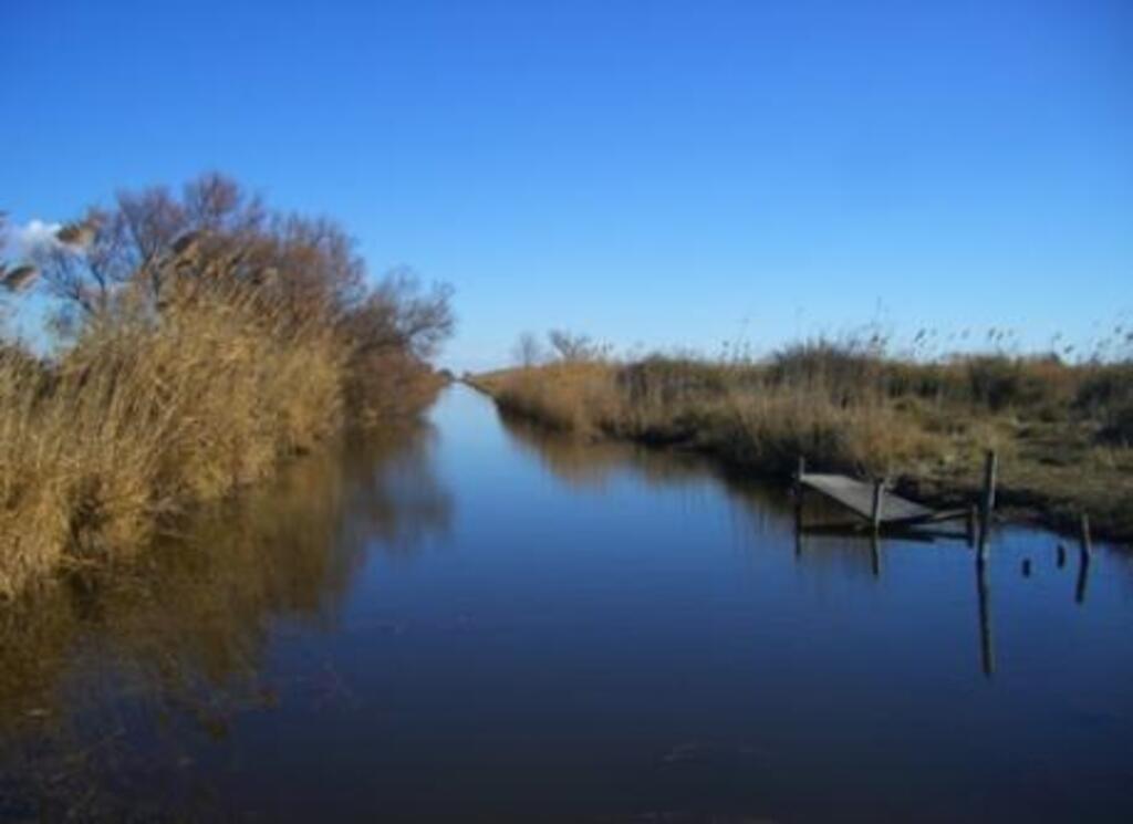 camargue landscape