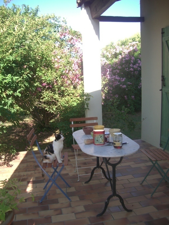Breakfast on the terrace