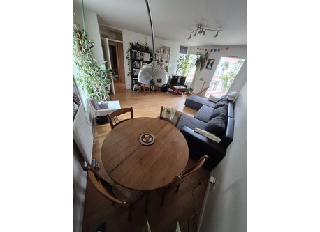 The living room 
