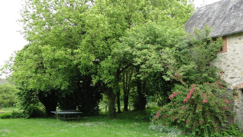 A côté de la grange, un endroit ombragé où le salon de jardin et les transats sont installés aux beaux jours .