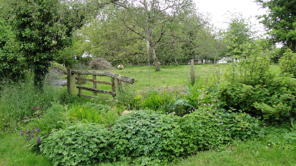 Le verger et ses moutons