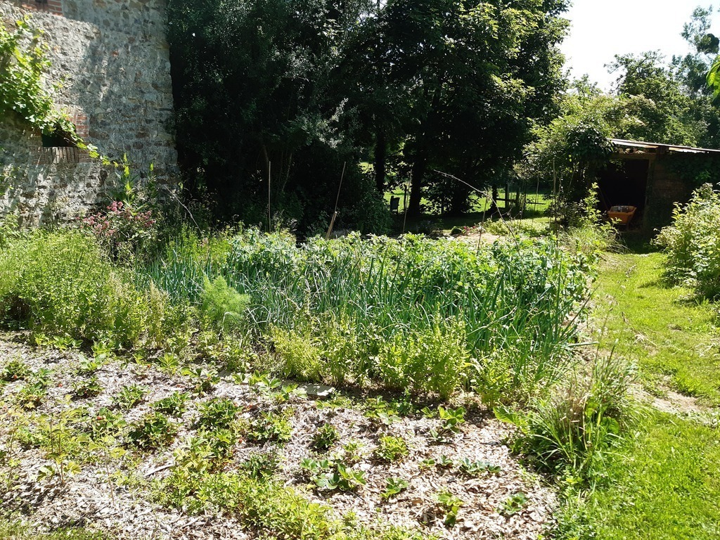 le potager où vous pourrez peut-être récolter quelques légumes si vous êtes là au bon moment.