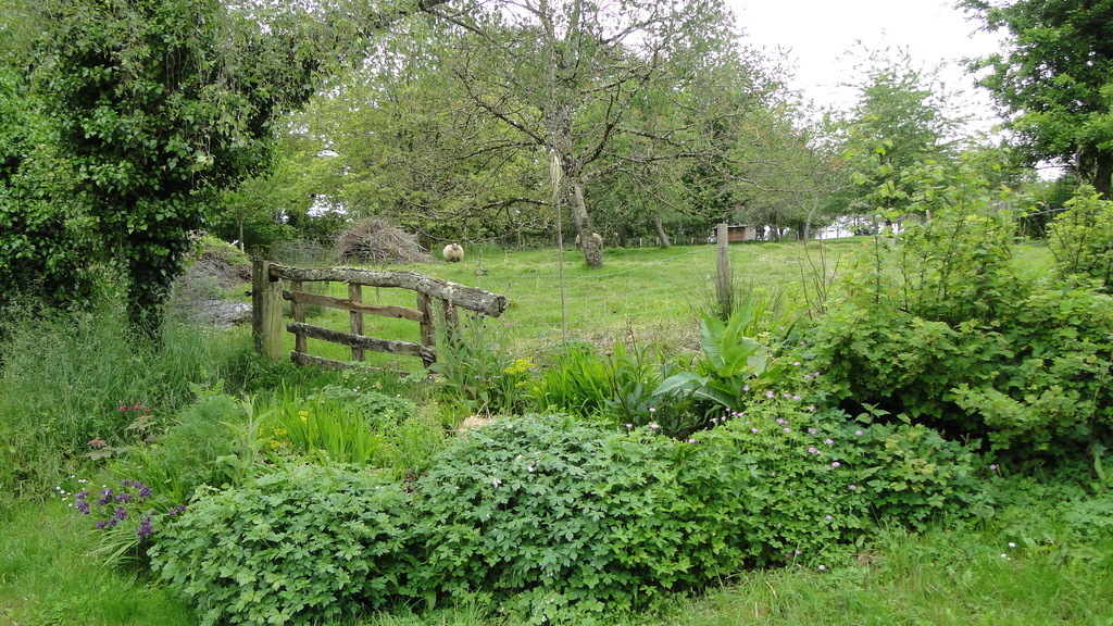 Le verger et ses moutons