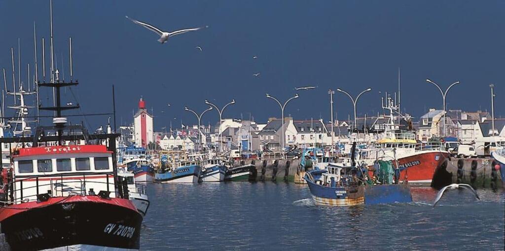 The fishing harbour of Guilvinec, 10 km from our house