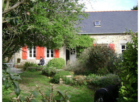 South side garden