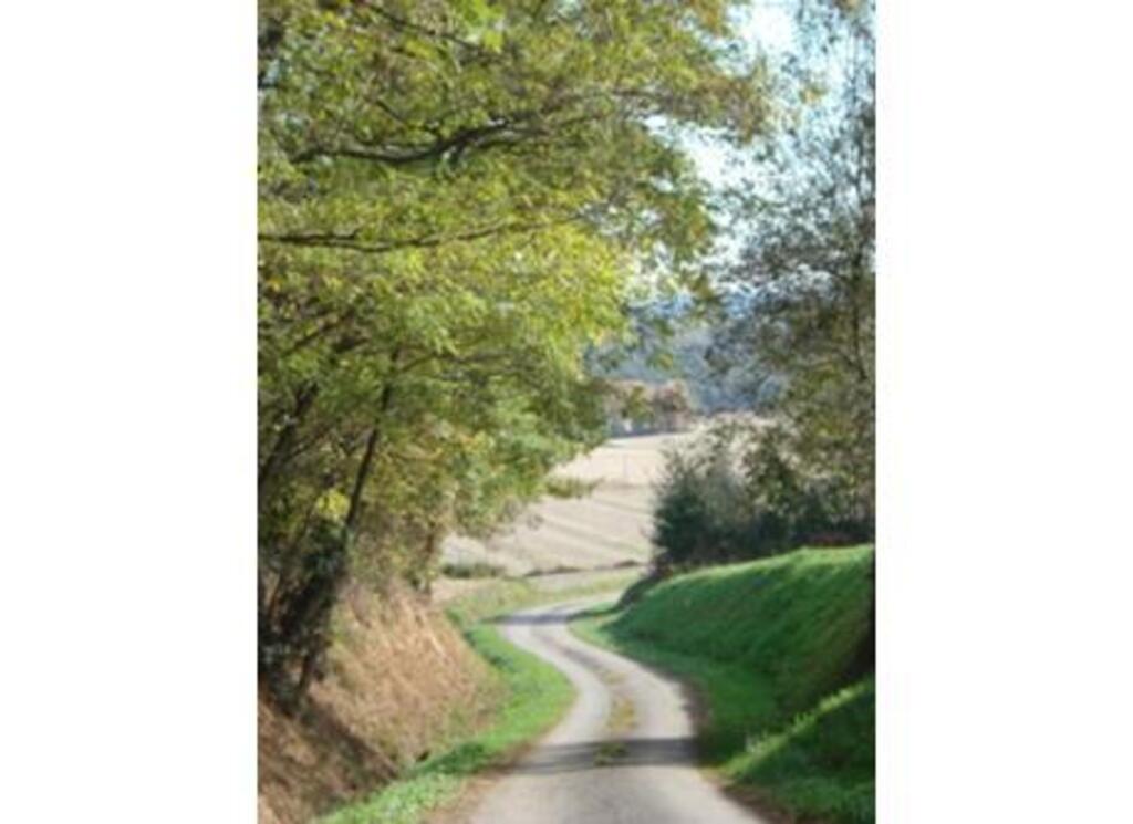 walking in the woods