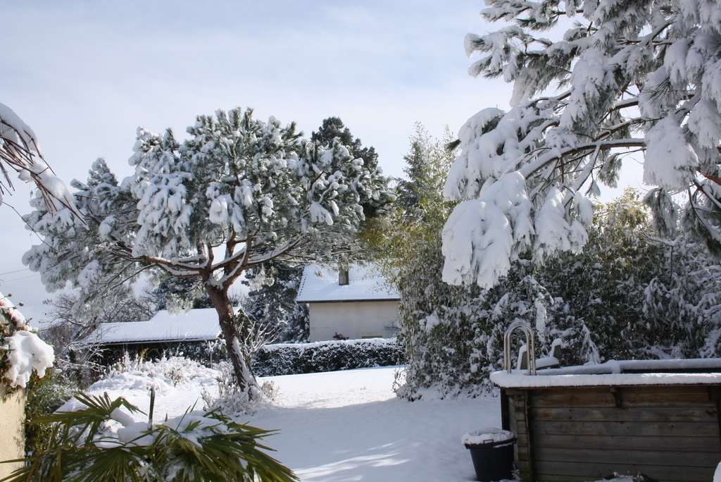 The east side of the garden in winter