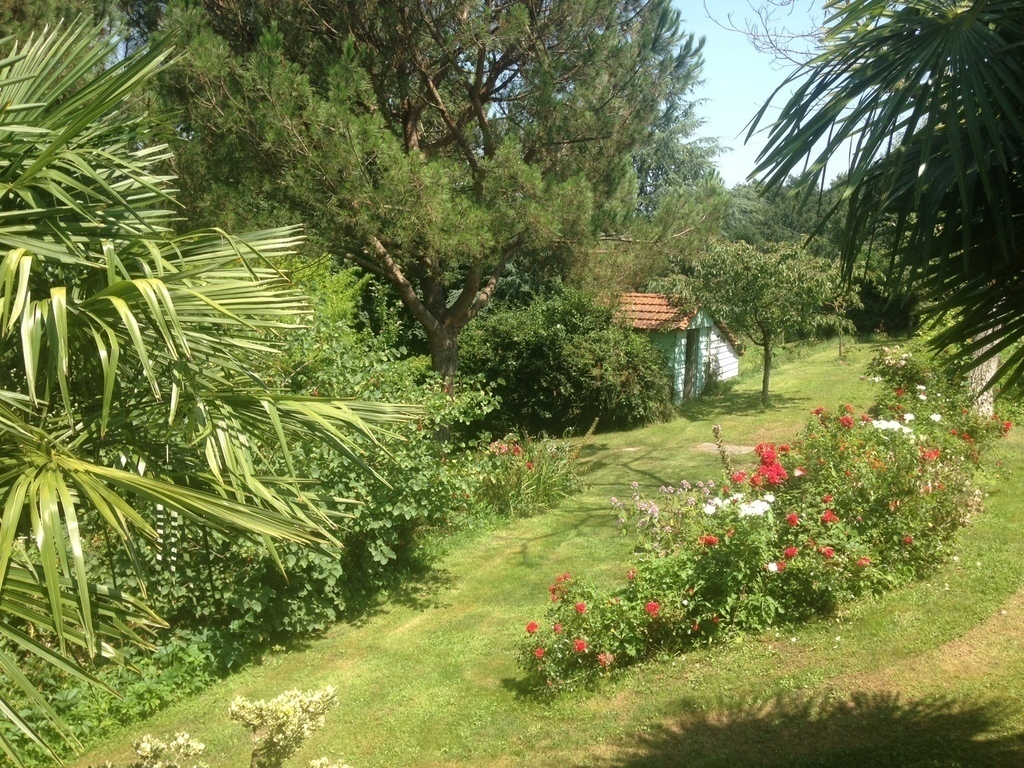 The garden shed, seen from the patio
