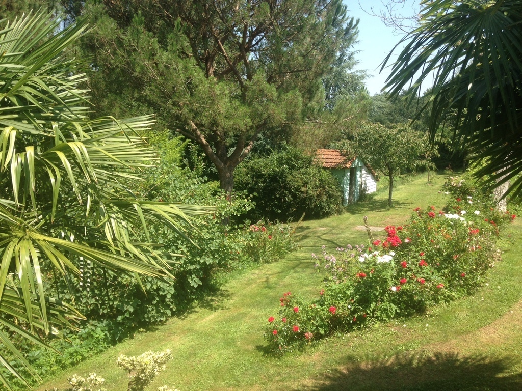 The garden shed, seen from the patio