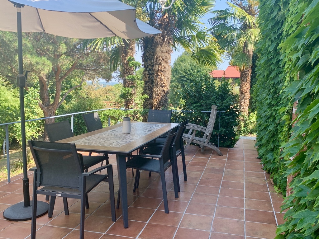 The patio (north of the house)