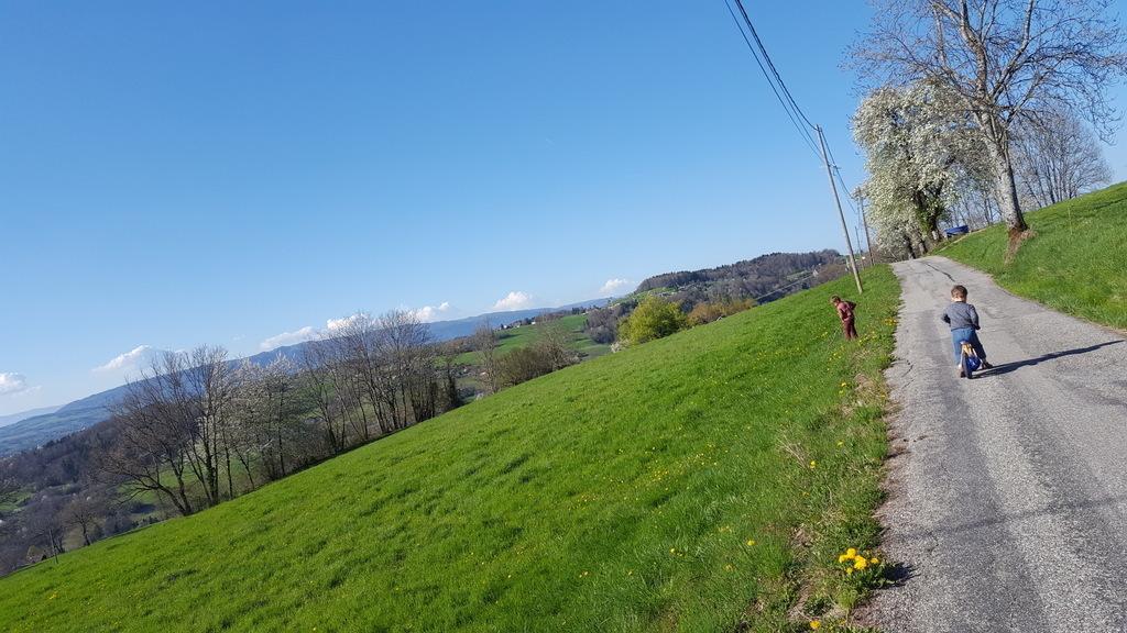 Notre petite route (environ 100m de la maison). Our little road (about 100m from the house)