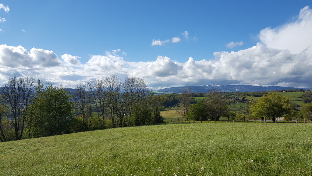 Vue aux alentours de la maison. The surroundings of our house. 
