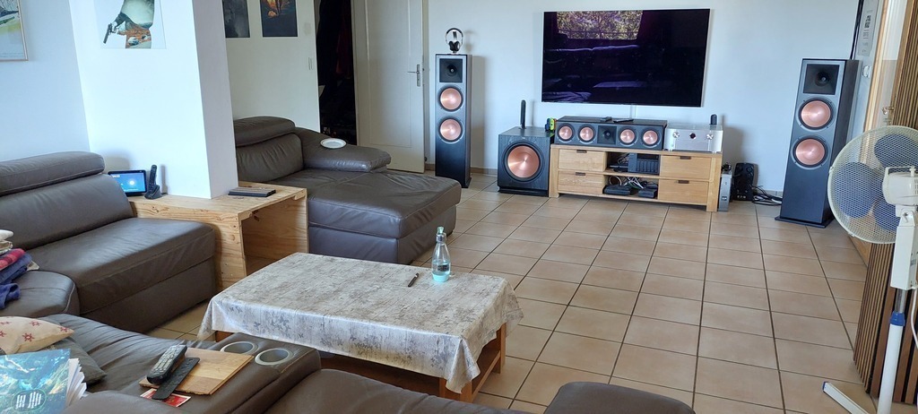 The living-room. Salon. 