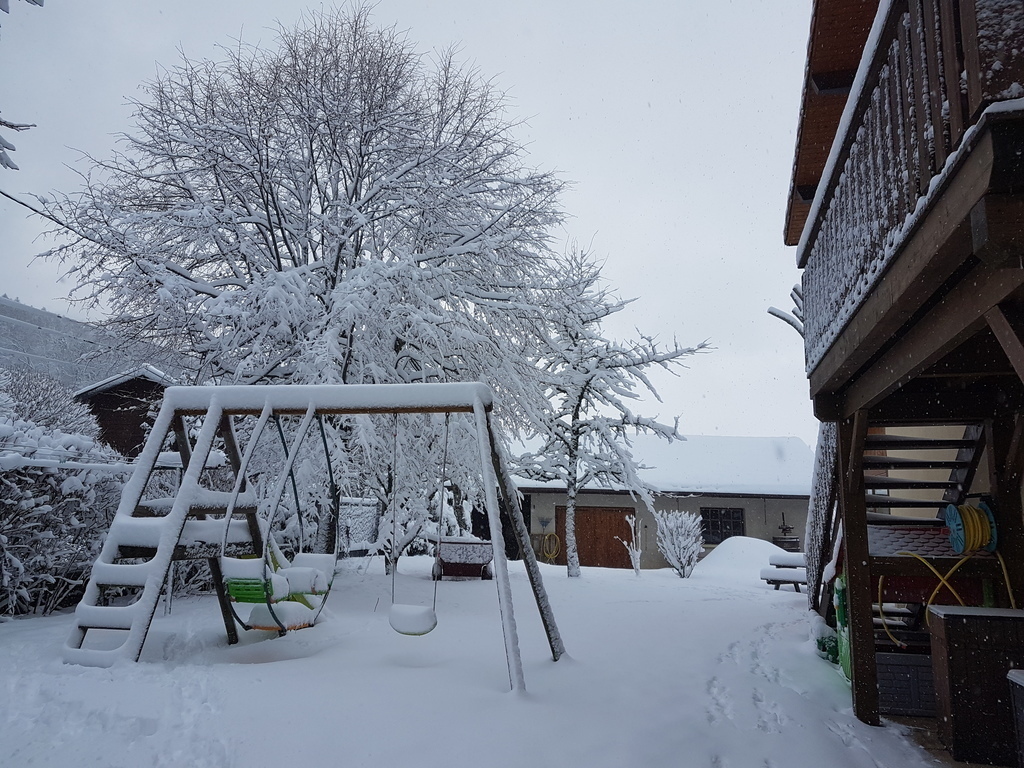 Our garden under the snow. Le jardin sous la neige. 