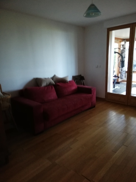 Guestroom (very cosy double sofa bed). Chambre d'amis (canapé lit en 160cm, très confortable). 