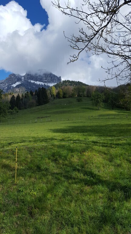 Le Parmelan, depuis la petite route qui passe devant la maison. The Parmelan moutain, from the little road leading to our house.