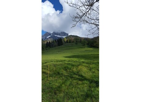 Le Parmelan, depuis la petite route qui passe devant la maison. The Parmelan moutain, from the little road leading to our house.