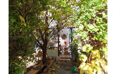 Our entrance into the greenery