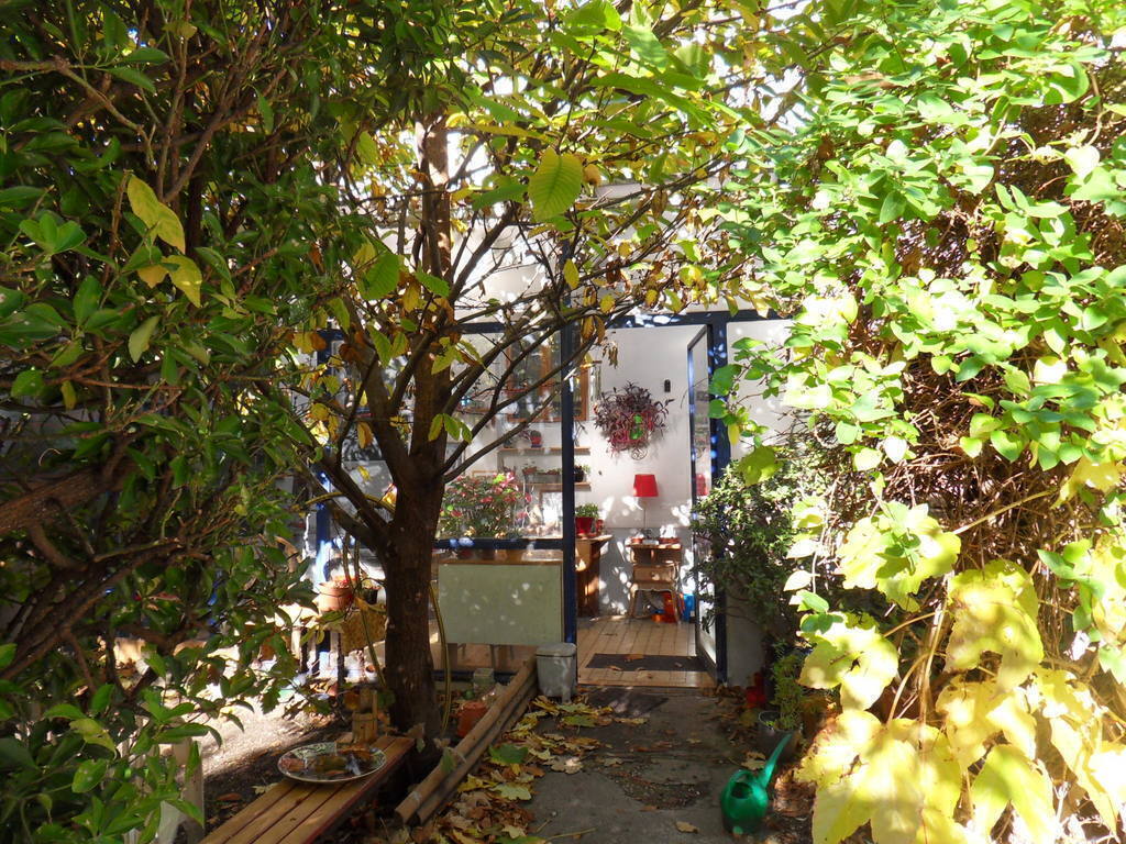 Our entrance into the greenery