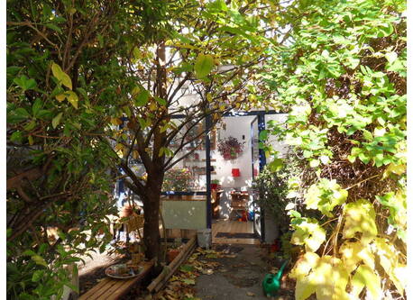 Our entrance into the greenery