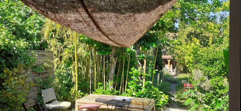 the terrace