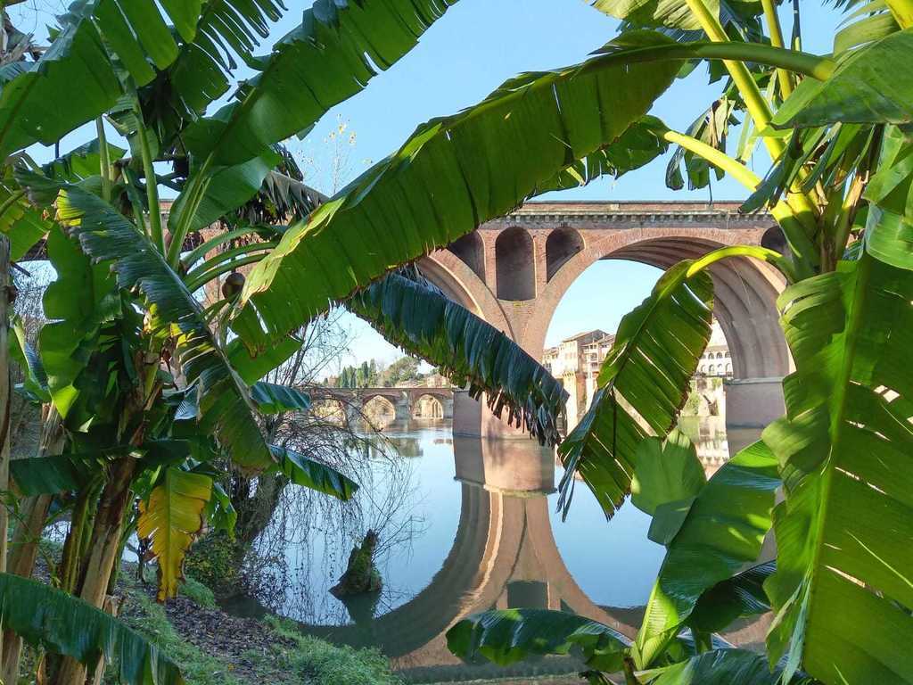 the "new" bridge in Albi, towards area "La Madeleine" where we live