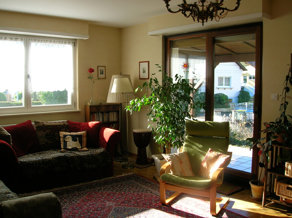 Living room with terrasse 