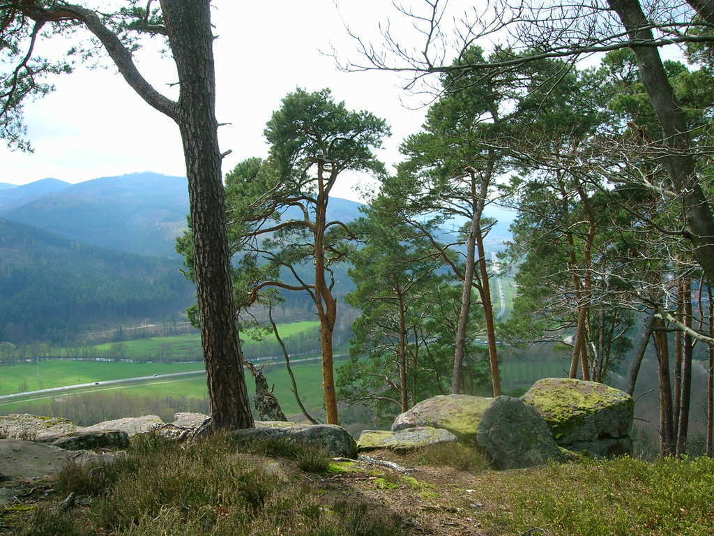 In den Vogesen / Vosges