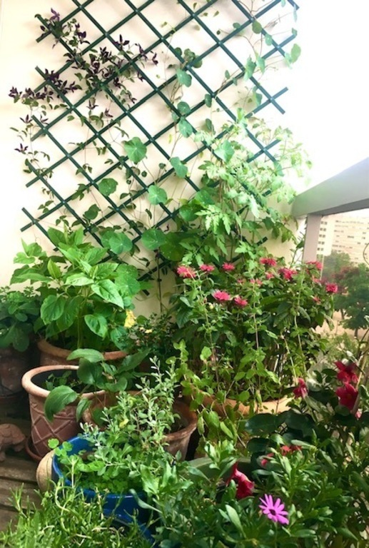 Our balcony in the summer