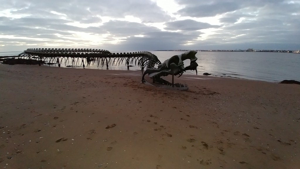 Le serpent de St Brevin